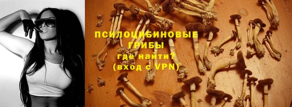 ECSTASY Абаза