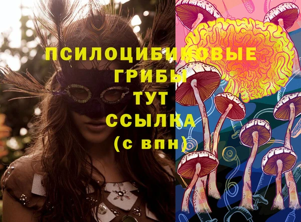 ECSTASY Абаза