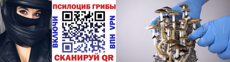 Галлюциногенные грибы мицелий  цены   Вичуга 